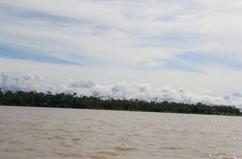  Minciencias y el Instituto SINCHI lanzan la Expedición Científica en la selva amazónica