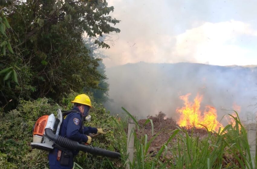  Aumentan los incendios forestales en Casanare