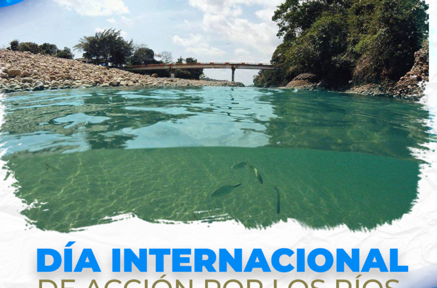  Coporinoquia adelanta acciones de protección de ríos