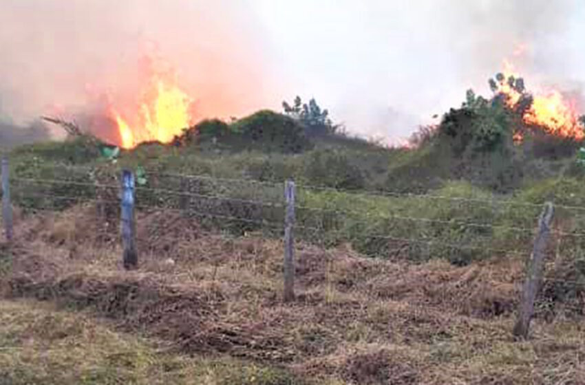  Un hombre apareció incinerado en finca en San Luís de Palenque
