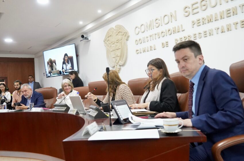  Para la reforma agraria, “no podemos quedarnos solo con la oferta de Fedegán”: ministra Cecilia López