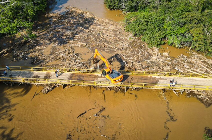  Más de 30 toneladas de material vegetal deben ser removidos, para salvar de colapso el puente La Consigna en Maní