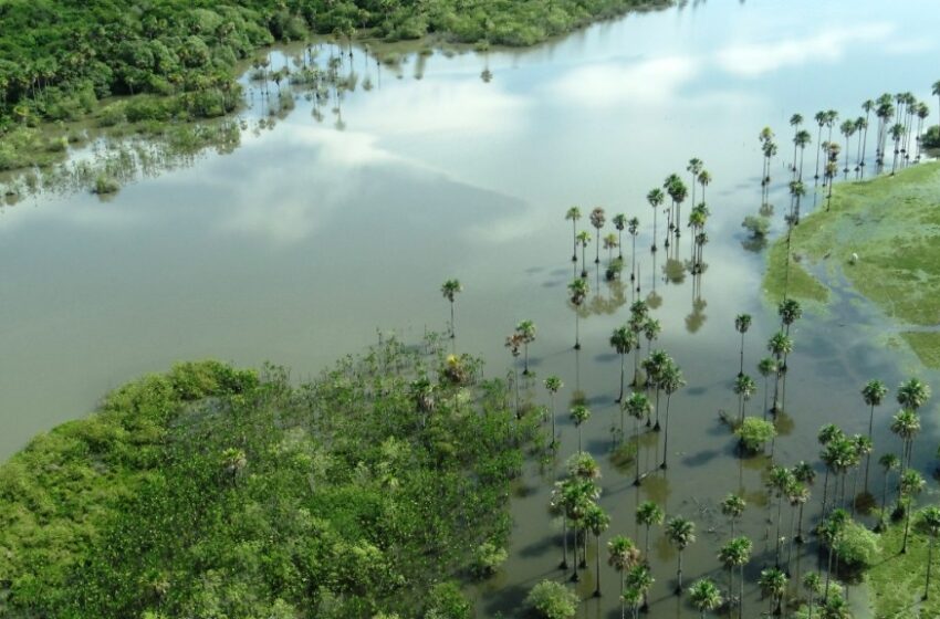  En la región de la Orinoquia, la protección, conservación y recuperación de las cuencas y microcuencas hidrográficas es una tarea prioritaria