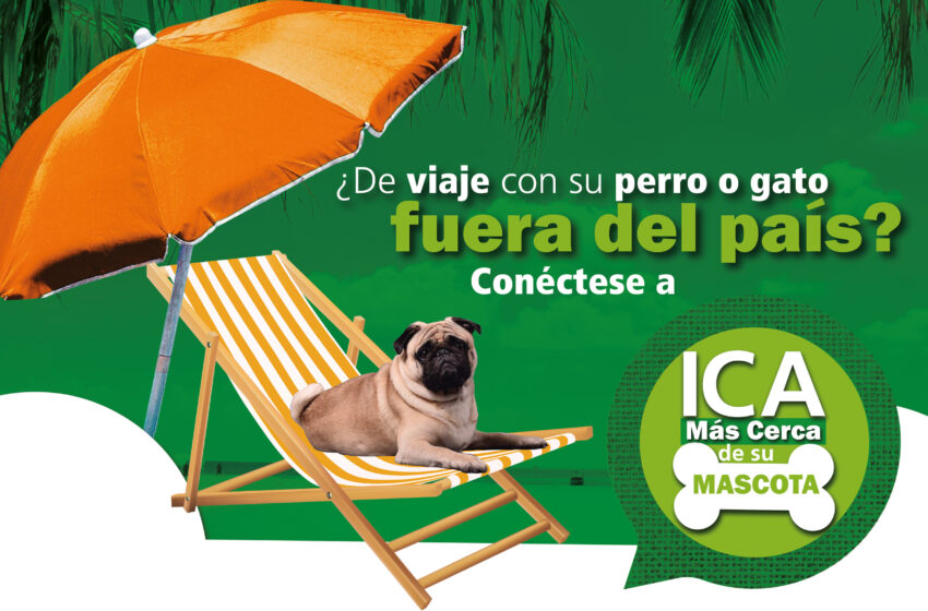  ICA Más Cerca de tu Mascota, espacio virtual para resolver inquietudes sobre el ingreso o salida de mascotas al exterior