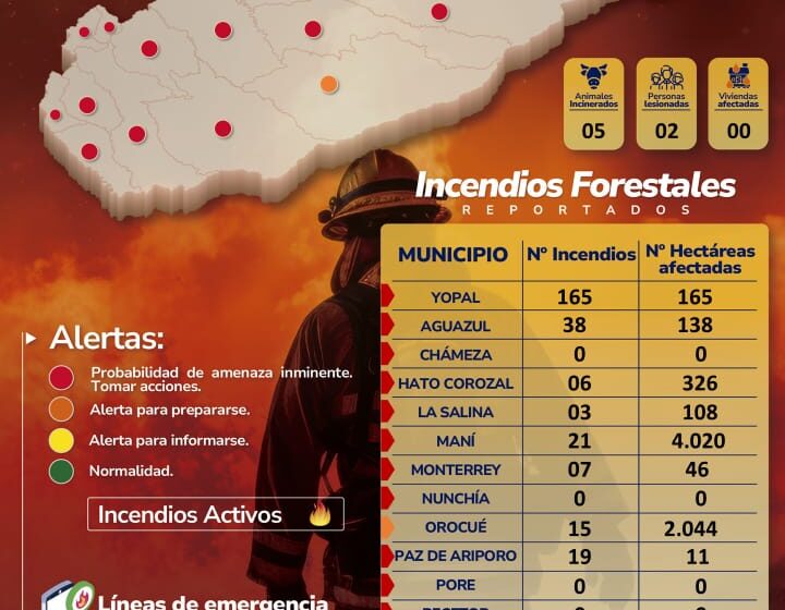  7 mil hectareas de vegetación afectadas por incendios en Casanare