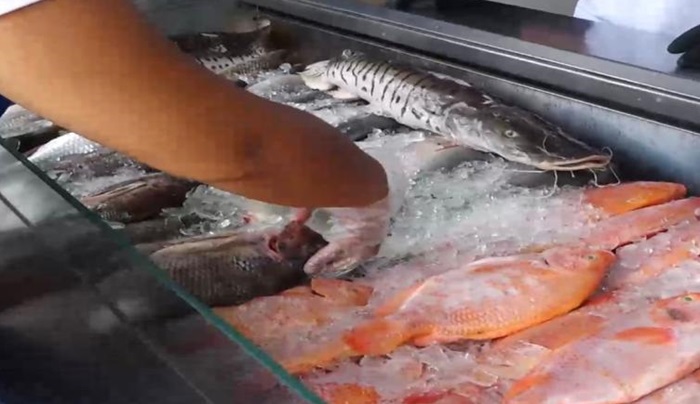  Colombia tiene garantizada la oferta de pescado para Semana Santa
