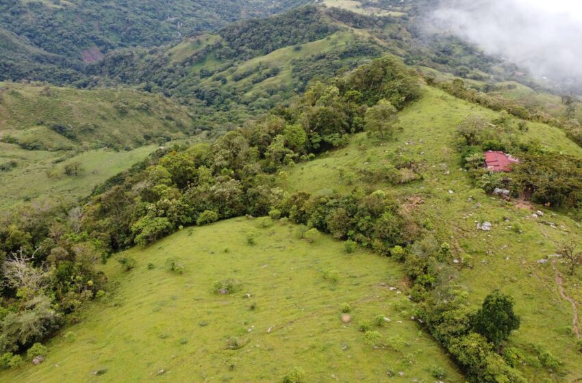  Ecopetrol adquirió 970 hectáreas para laprotección de la biodiversidad en Casanare
