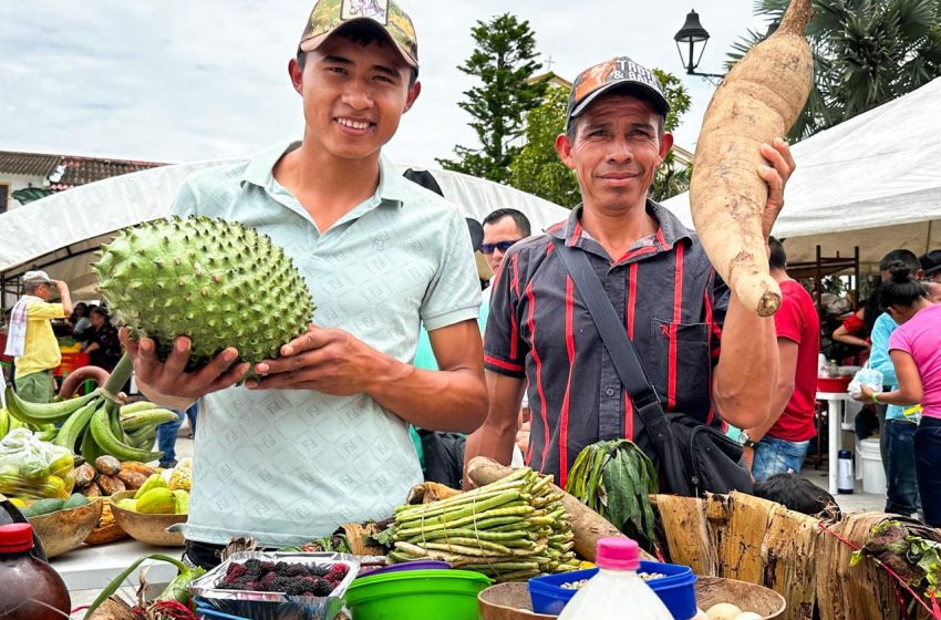  Gobernación de Casanare abre convocatoria para organizaciones asociativas agropecuarias