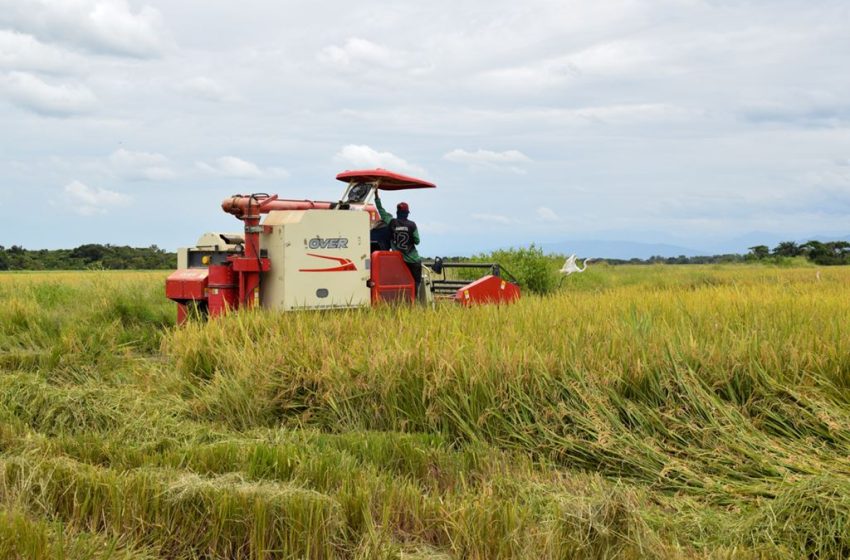  Maquinaria agrícola como aliada del progreso rural en Yopal